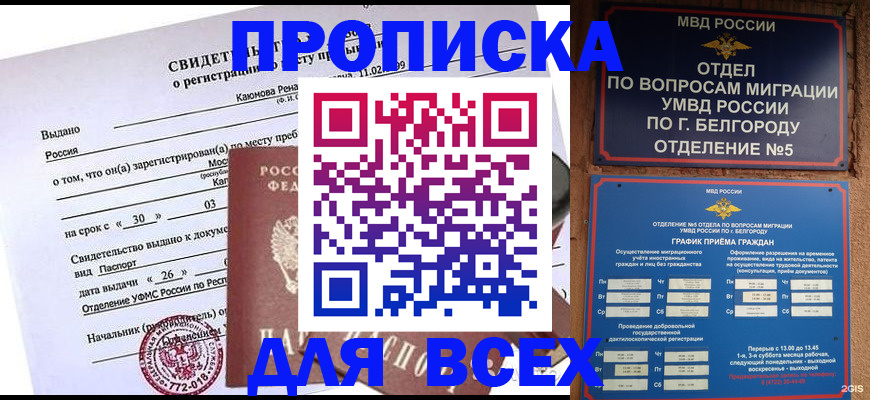 прописка поиск в Клине